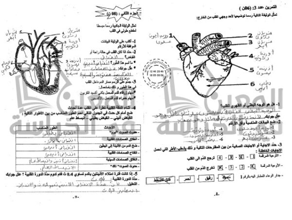 ⁦فروض تأليفية سنة 9 الثلاثي الثاني⁩ - الصورة ⁦8⁩