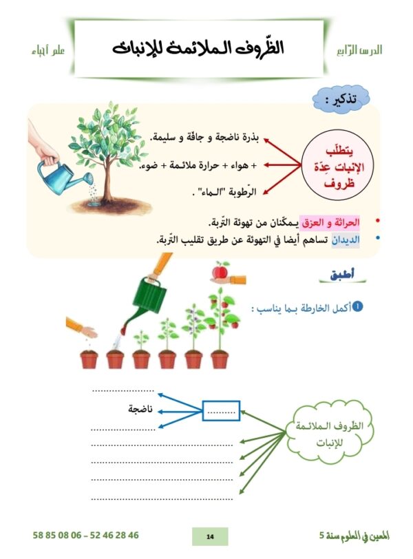 ⁦المعين في العلوم سنة 5 ثلاثي 3⁩ - الصورة ⁦8⁩