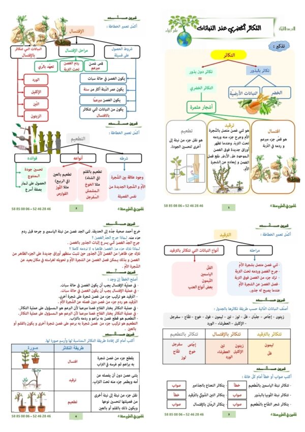 ⁦المعين في العلوم سنة 4 ثلاثي 3⁩ - الصورة ⁦8⁩